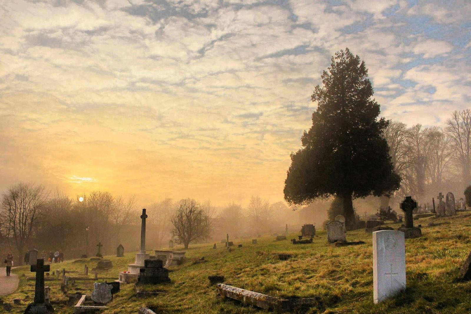 Misty sunrise over a Hampshire cemetery with gravestones and trees in the fog.